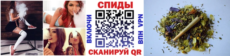 mega вход  Бологое  БУТИРАТ 1.4BDO 