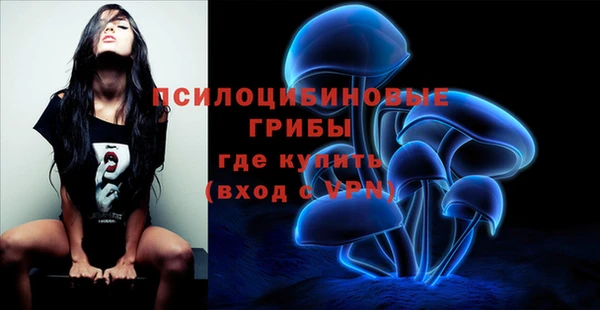 дурь Алексеевка