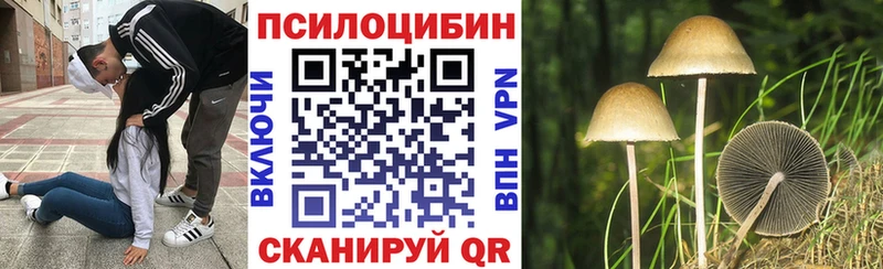 Псилоцибиновые грибы Psilocybe  нарко площадка официальный сайт  Бологое  купить  